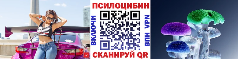 купить наркоту  Пущино  Псилоцибиновые грибы Psilocybe 